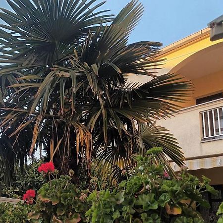 Studio Apartman Casper Zadar Dış mekan fotoğraf