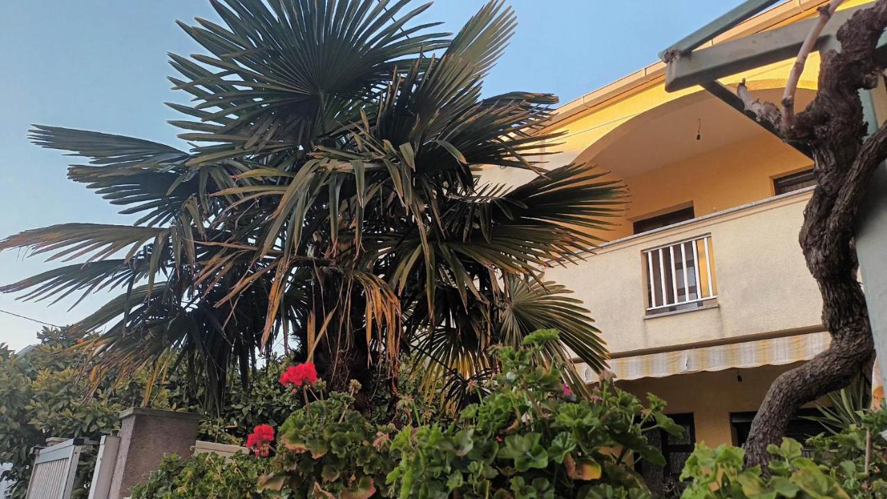 Studio Apartman Casper Zadar Dış mekan fotoğraf